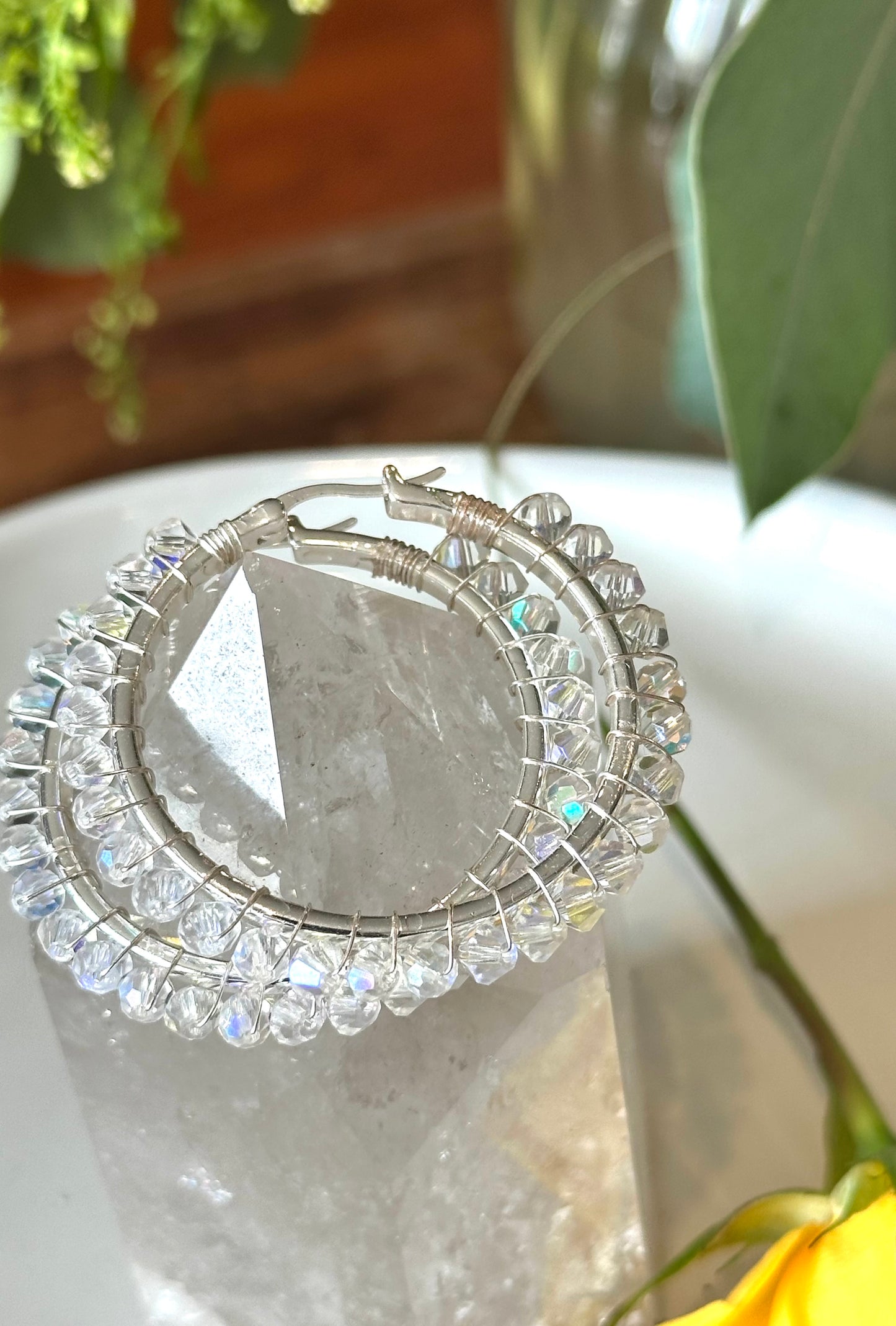 Hoop Earrings in Silver and Crystal